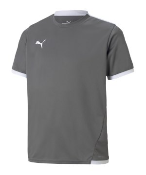 puma-teamliga-trikot-kids-grau-f13-704925-teamsport_front.png