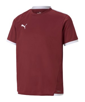 puma-teamliga-trikot-kids-rot-f09-704925-teamsport_front.png
