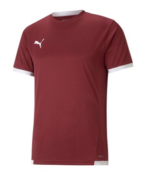 puma-teamliga-trikot-rot-f09-704917-teamsport_front.png