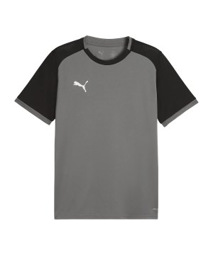 puma-teamliga26-matchday-trikot-grau-f13-706544-teamsport_front.png