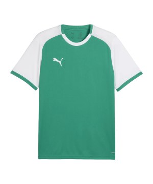 puma-teamliga26-matchday-trikot-gruen-f05-706544-teamsport_front.png