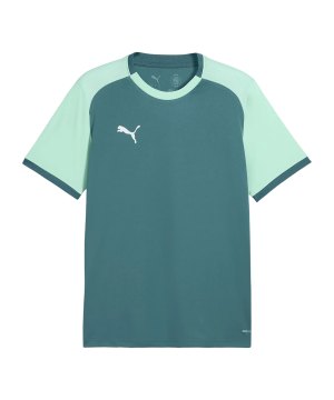puma-teamliga26-matchday-trikot-gruen-f43-706544-teamsport_front.png