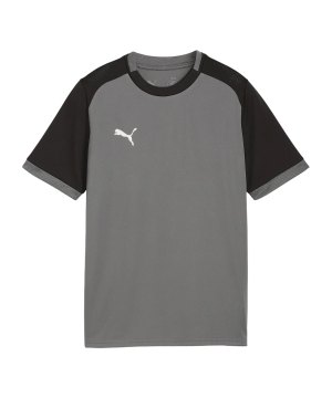 puma-teamliga26-matchday-trikot-kids-grau-f13-706545-teamsport_front.png