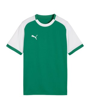 puma-teamliga26-matchday-trikot-kids-gruen-f05-706545-teamsport_front.png