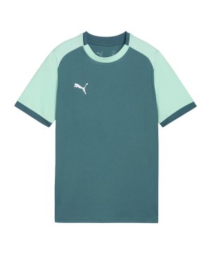 puma-teamliga26-matchday-trikot-kids-gruen-f43-706545-teamsport_front.png