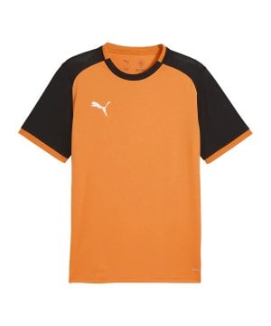 puma-teamliga26-matchday-trikot-orange-f08-706544-teamsport_front.png