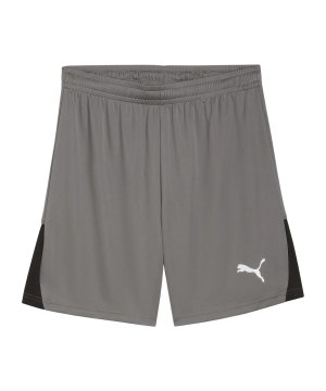 puma-teamliga26-short-grau-f13-706554-teamsport_front.png
