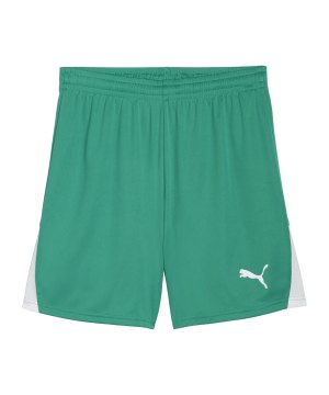 puma-teamliga26-short-gruen-f05-706554-teamsport_front.png