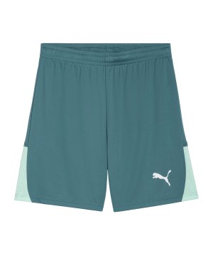 puma-teamliga26-short-gruen-f43-706554-teamsport_front.png