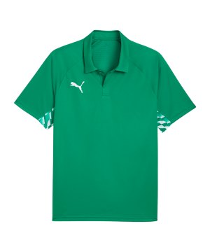 puma-teamliga26-sideline-polo-gruen-f05-660928-teamsport_front.png