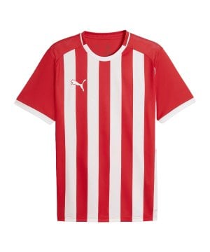 puma-teamliga26-striped-trikot-rot-f01-706550-teamsport_front.png