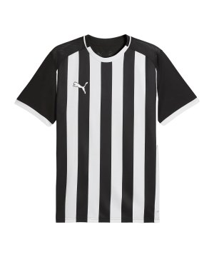 puma-teamliga26-striped-trikot-schwarz-f03-706550-teamsport_front.png