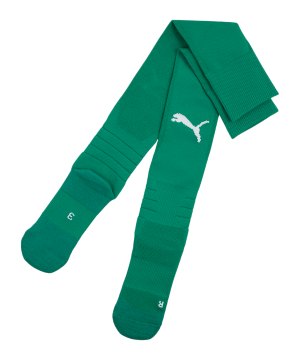 puma-teamliga26-strumpfstutzen-gruen-f05-706560-teamsport_front.png
