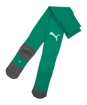 puma-teamliga26-strumpfstutzen-gruen-f05-707064-teamsport_front.png