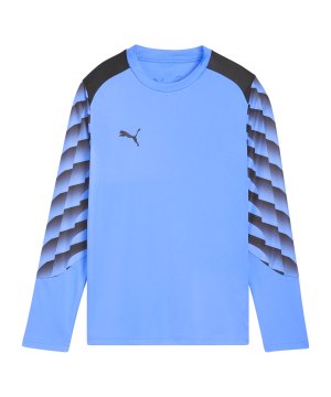 puma-teamliga26-torwarttrikot-la-kids-blau-f31-706549-teamsport_front.png