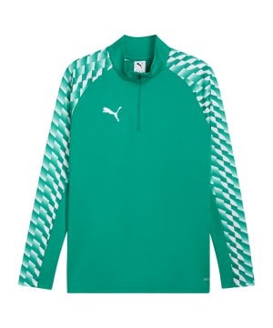 puma-teamliga26-training-1-4-zip-top-gruen-f05-659724-teamsport_front.png