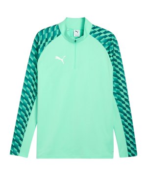 puma-teamliga26-training-1-4-zip-top-gruen-f80-659724-teamsport_front.png
