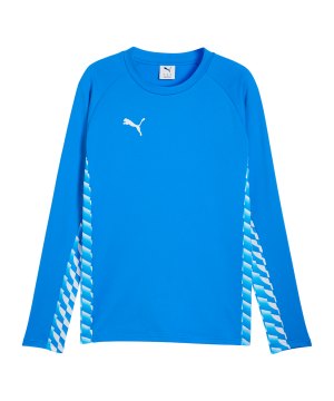 puma-teamliga26-training-sweatshirt-blau-f02-660926-teamsport_front.png