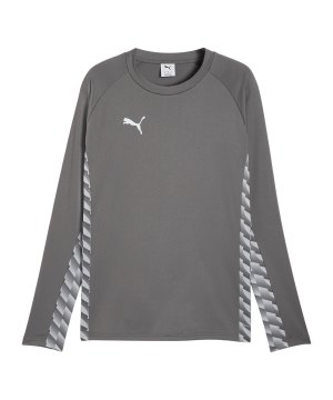 puma-teamliga26-training-sweatshirt-grau-f13-660926-teamsport_front.png
