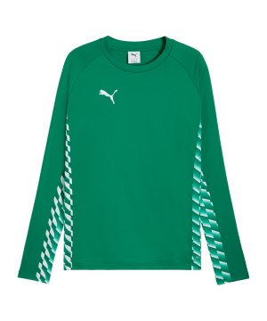 puma-teamliga26-training-sweatshirt-gruen-f05-660926-teamsport_front.png