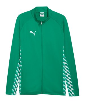 puma-teamliga26-trainingsjacke-gruen-f05-659727-teamsport_front.png