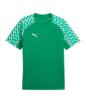 puma-teamliga26-trikot-gruen-f05-659721-teamsport_front.png