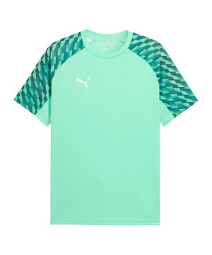 puma-teamliga26-trikot-gruen-f80-659721-teamsport_front.png