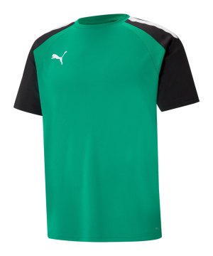 puma-teampacer-trikot-gruen-f05-704919-teamsport_front.png