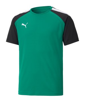 puma-teampacer-trikot-kids-gruen-schwarz-f05-704926-teamsport_front.png