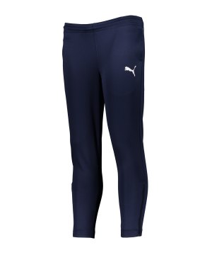 puma-teamrise-poly-trainingshose-kids-blau-f06-657391-teamsport_front.png