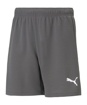 puma-teamrise-short-grau-weiss-f13-704942-teamsport_front.png