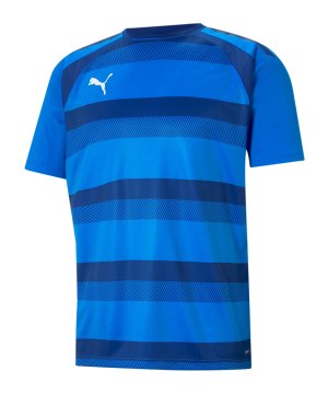 puma-teamvision-trikot-blau-f02-704921-teamsport_front.png