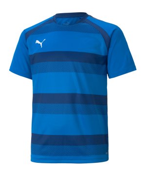 puma-teamvision-trikot-kids-blau-f02-704928-teamsport_front.png