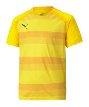 puma-teamvision-trikot-kids-gelb-f07-704928-teamsport_front.png