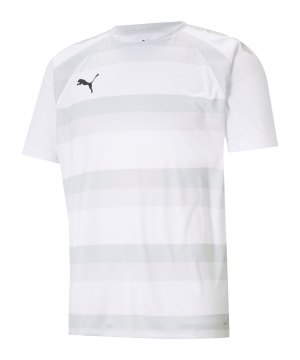 puma-teamvision-trikot-weiss-grau-f04-704921-teamsport_front.png
