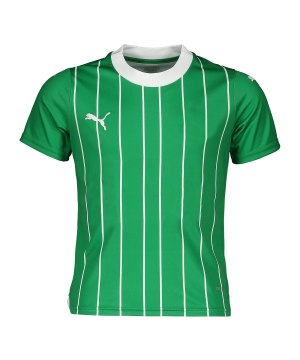 puma-trikot-kids-gruen-f01-774797-teamsport_front.png