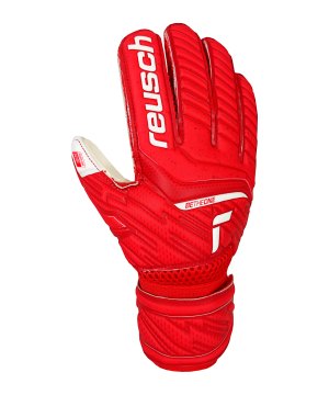 reusch-attrakt-silver-tw-handschuh-junior-f3002-5172215-equipment_front.png