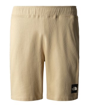 the-north-face-summer-logo-short-braun-flk5-nf0a8237lk5-lifestyle_front.png